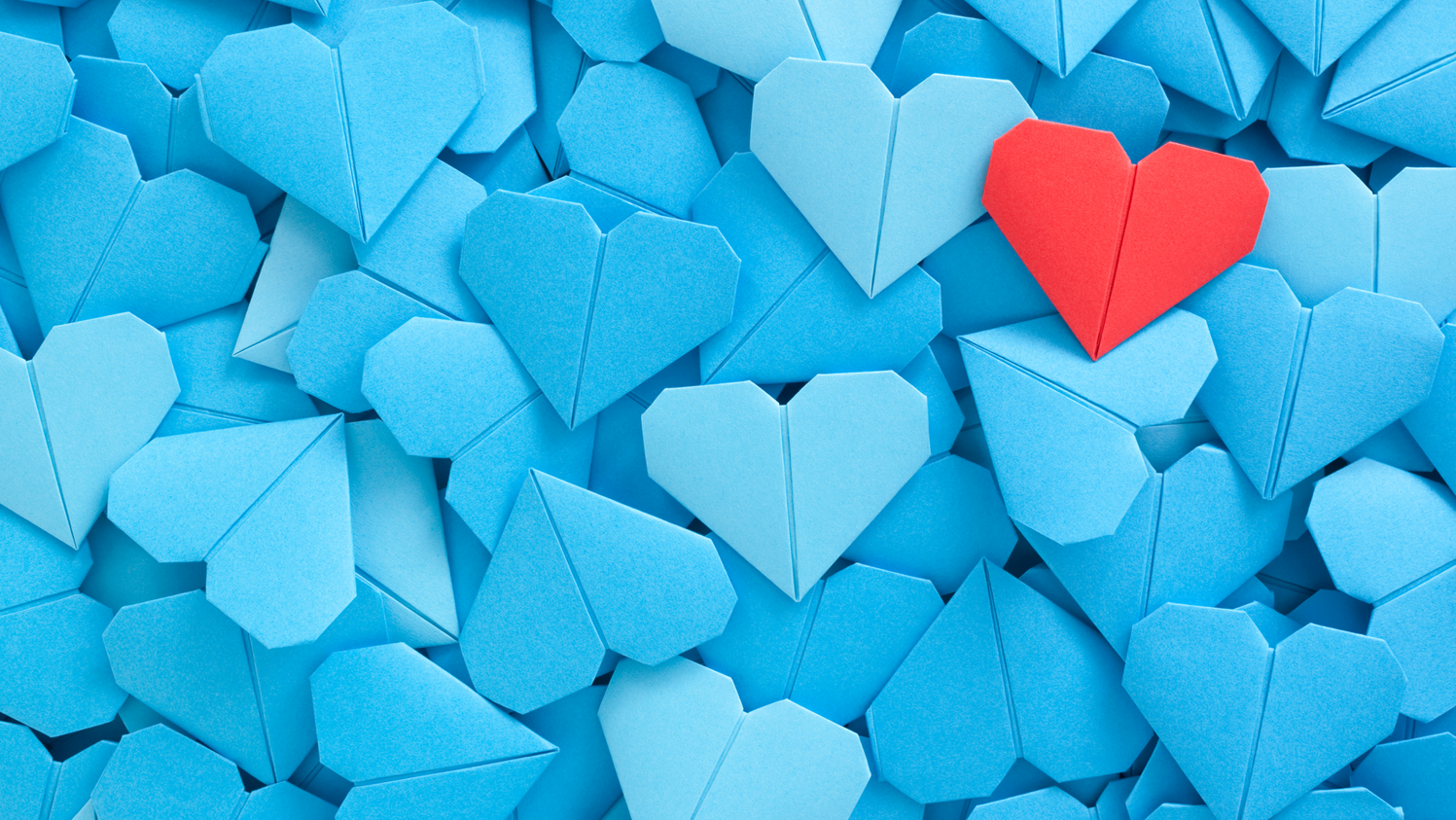 Paper Hearts Blue Full Width One red paper heart stands out on top of a spread of blue paper hearts.