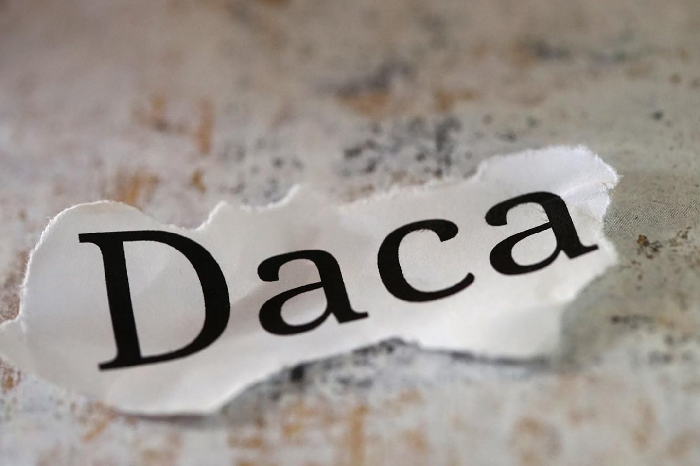 A torn white piece of paper sits on a table. The paper has the word "Daca" typed on it