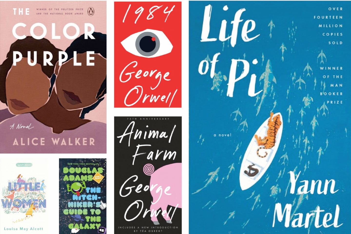 Great Young Adult Books for EFL Students showing several Young Adult book covers.