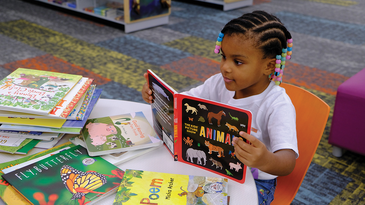 ImaginationGirlReading ImaginationGirlReading