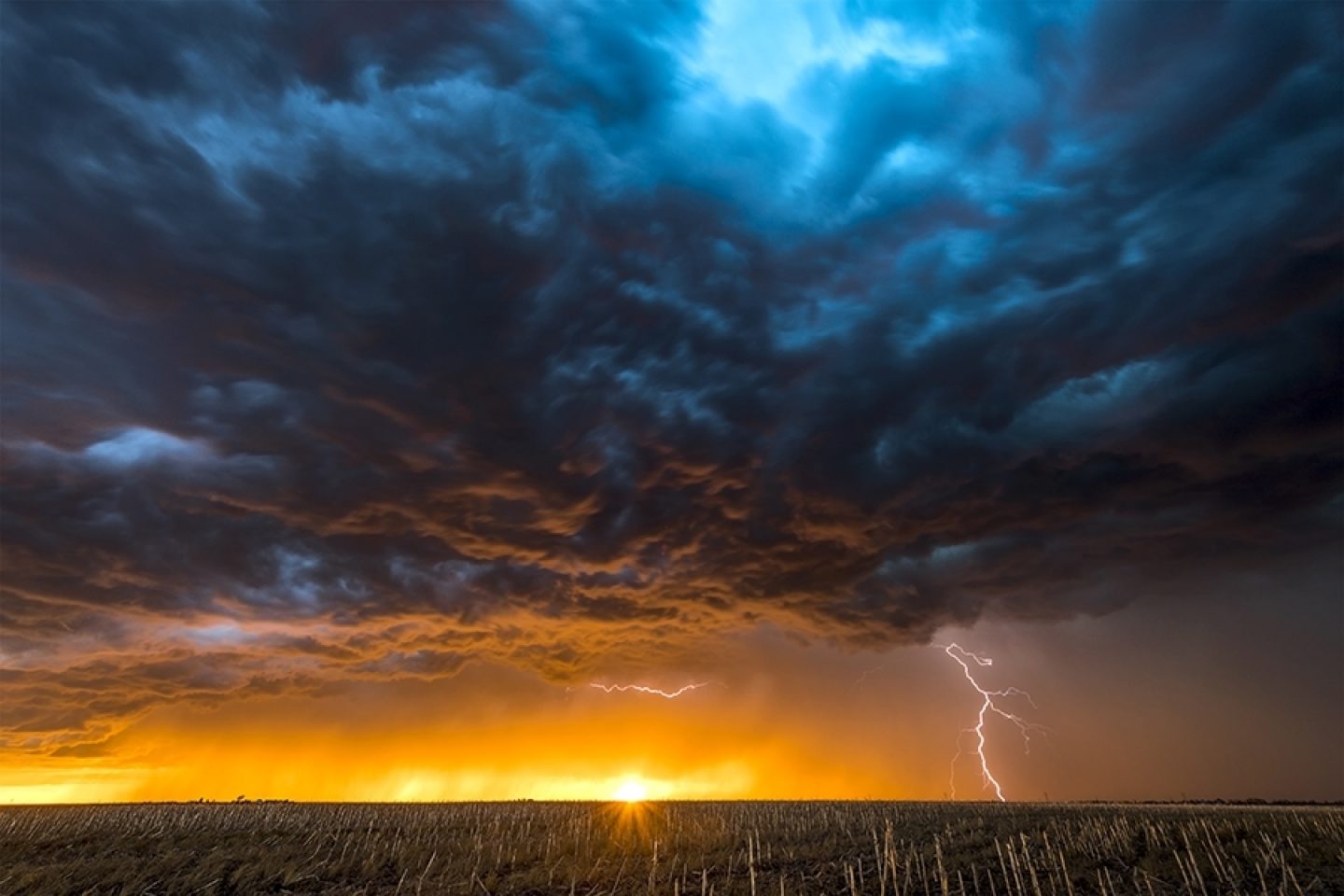 A dark blue sky is seen with lightning leaving the clouds in the distance. Beyond that is a bright sun and yellow sky illuminating the cornfield below.