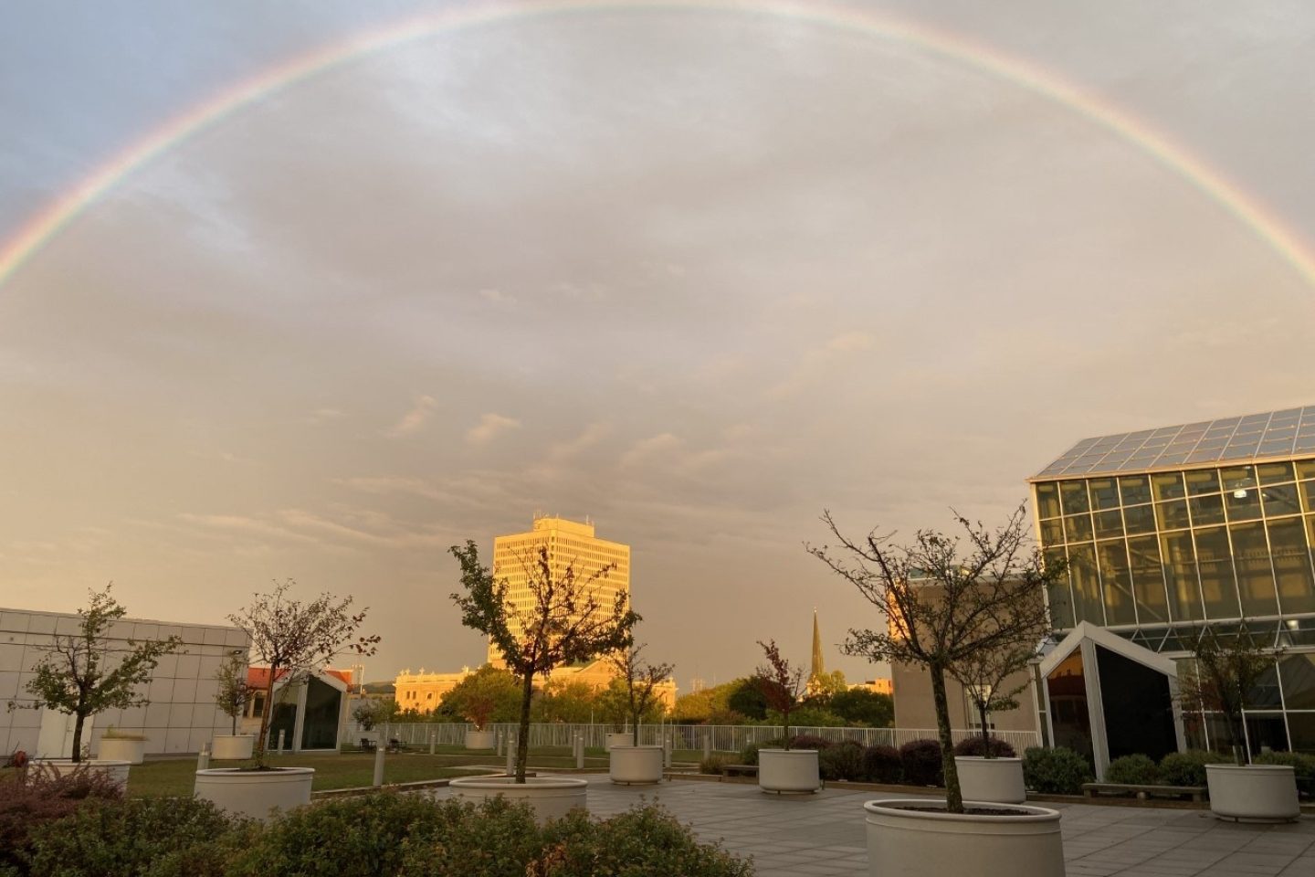 A view of a rainbow above Main Library's rooftop.