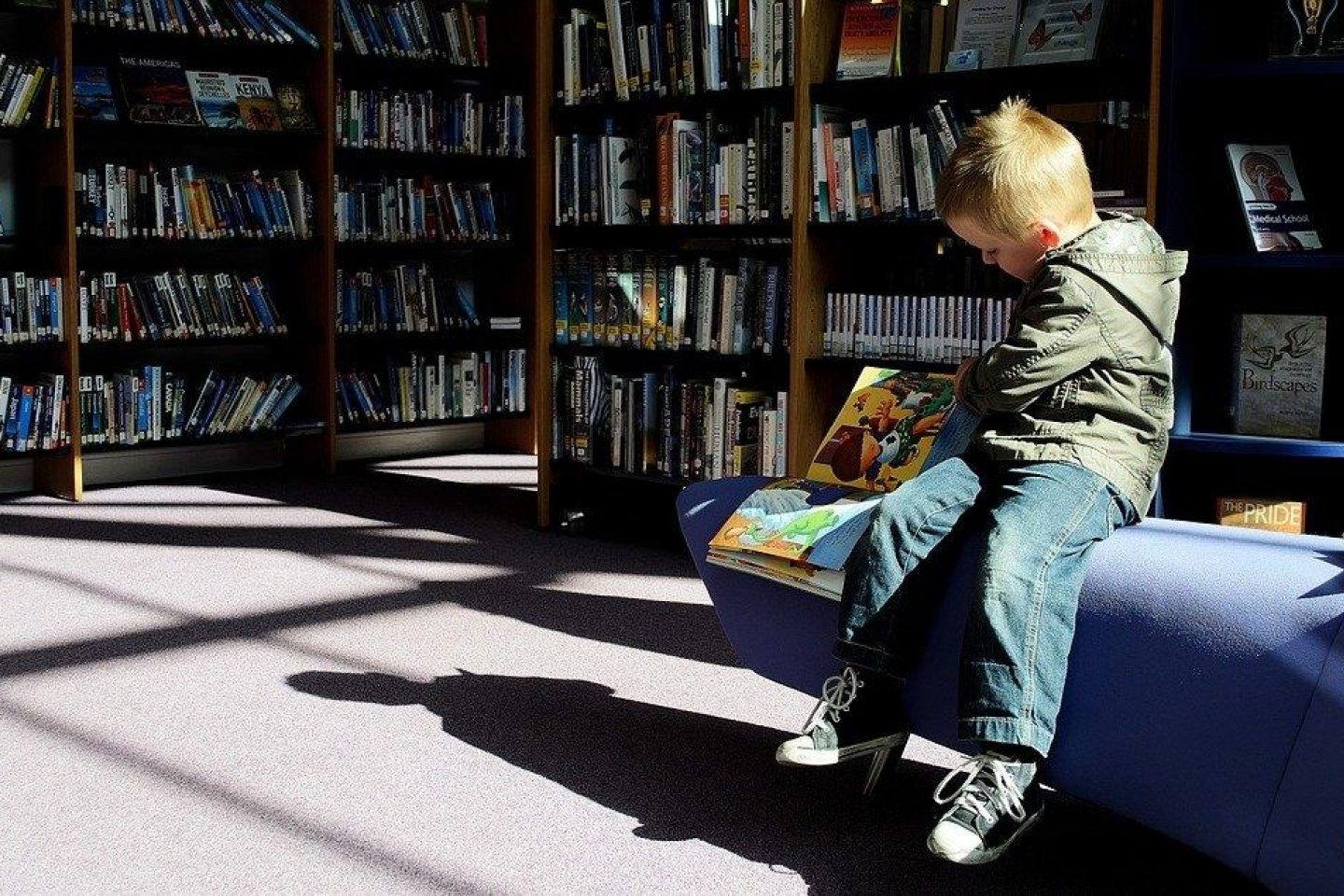 A little boy sits on a blue couch whilst looking through a children's picture book. Surrounding the little boy are shelves with other books and DVDs.
