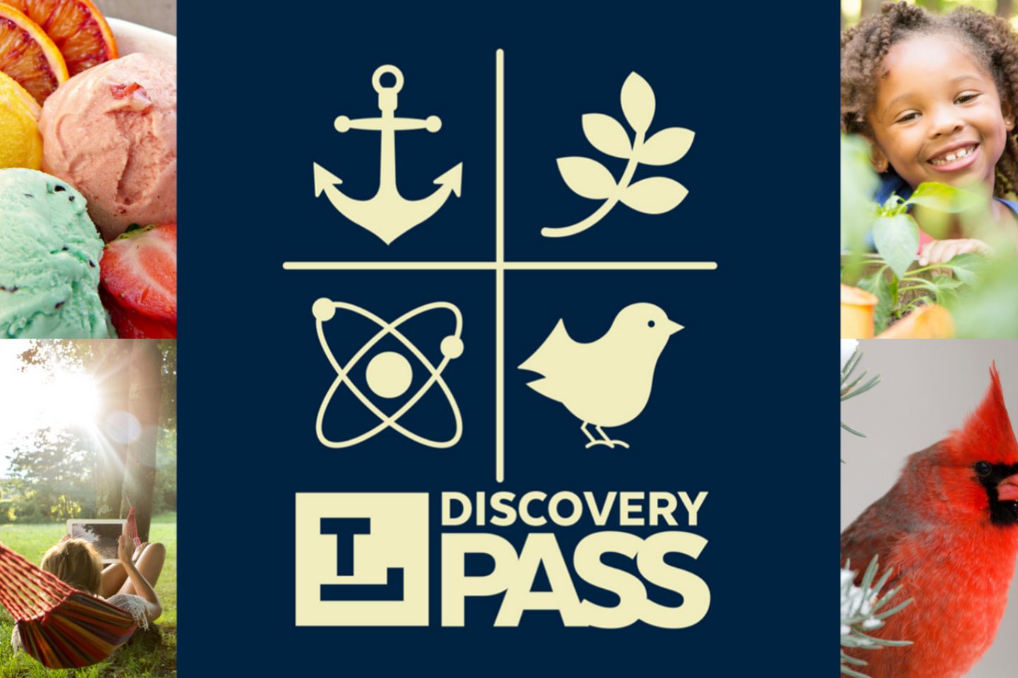 Discovery Pass Blog Cover