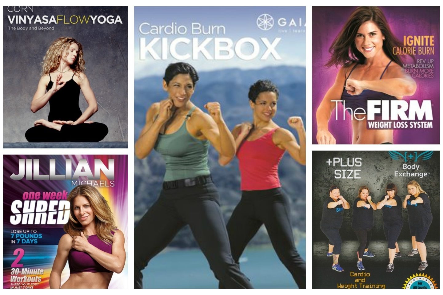 A collaged advertisement for different workout DVDs. Titles include "Vinyasa Flow Yoga," "Cardio Burn Kickbox," "The Firm Weight Loss System," "One Week Shred," and "+Plus Size: Cardio and Weight Training."