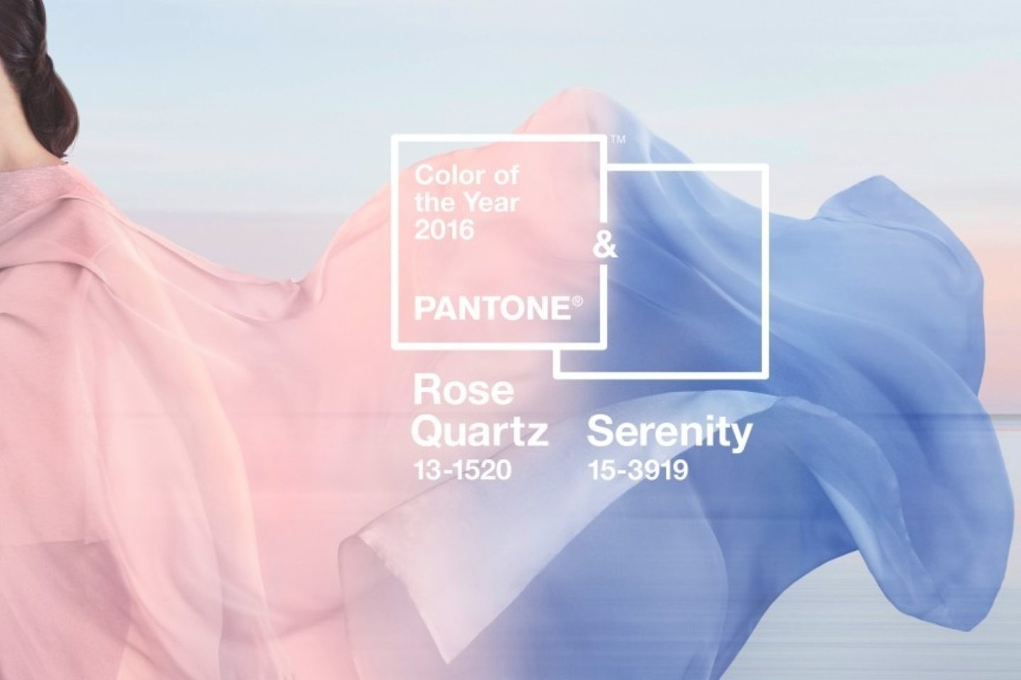 Pantone Color Year 2016 1024x576 1