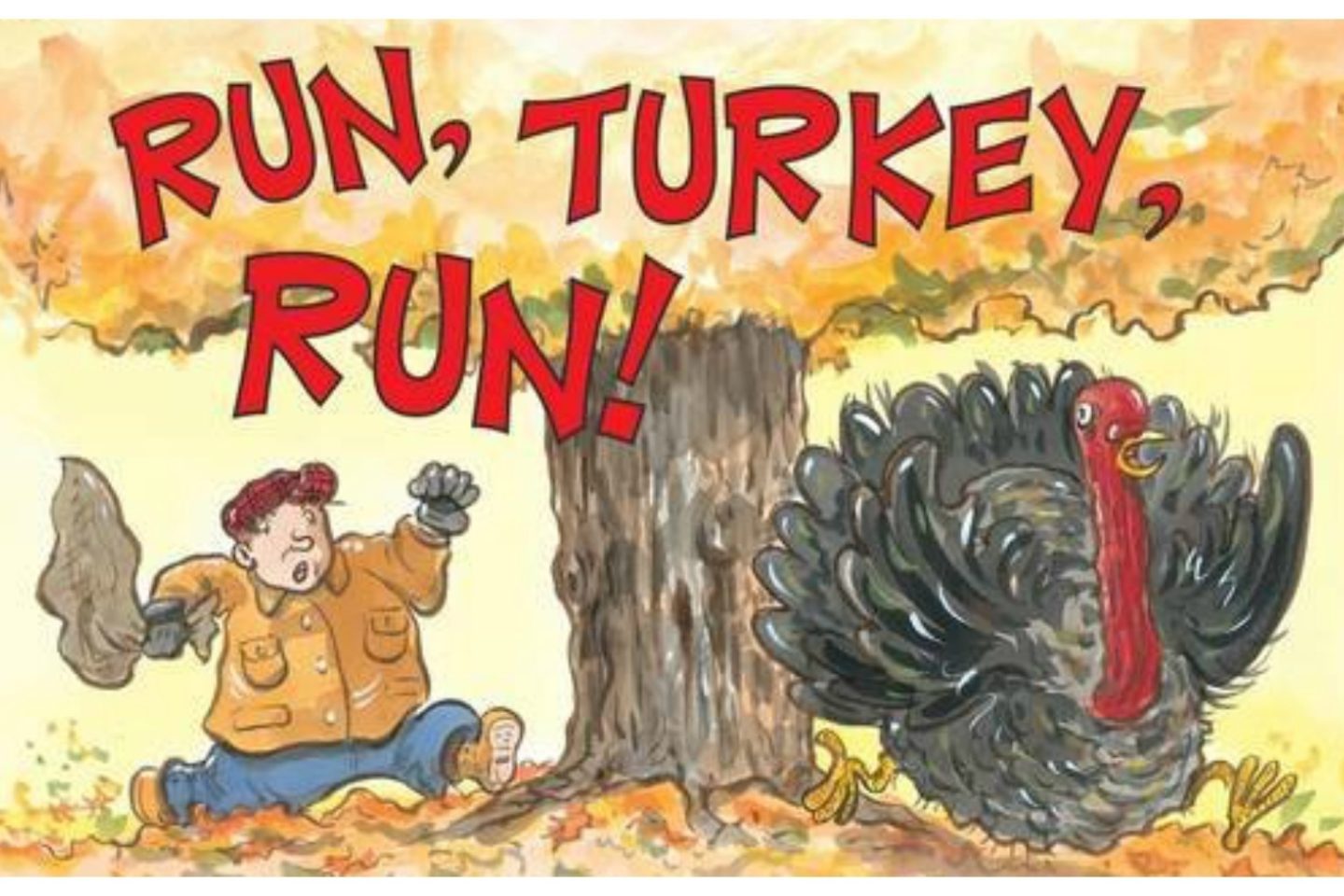 View of the book cover "Run, Turkey, Run!" by Diane Mayr.