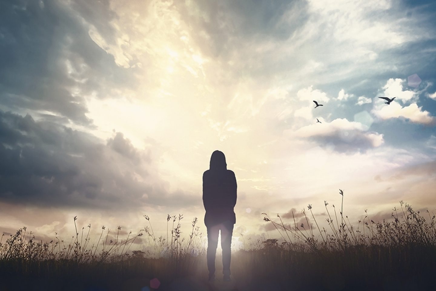 World mental health day with a woman standing in a field looking up at the sun and sky as birds fly overhead.