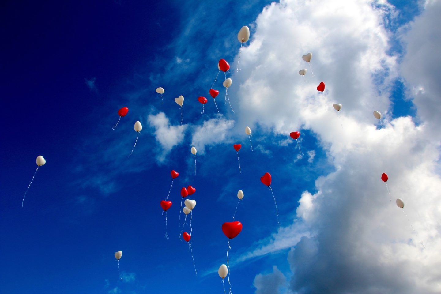 balloons sky love is in the air