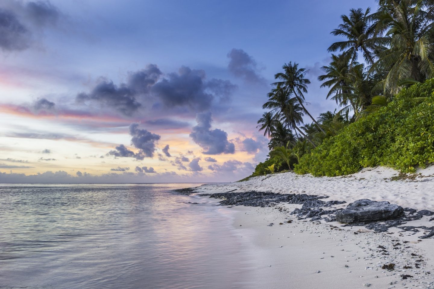 A view of an empty beach with palm trees and green foliage and a sunset sky.