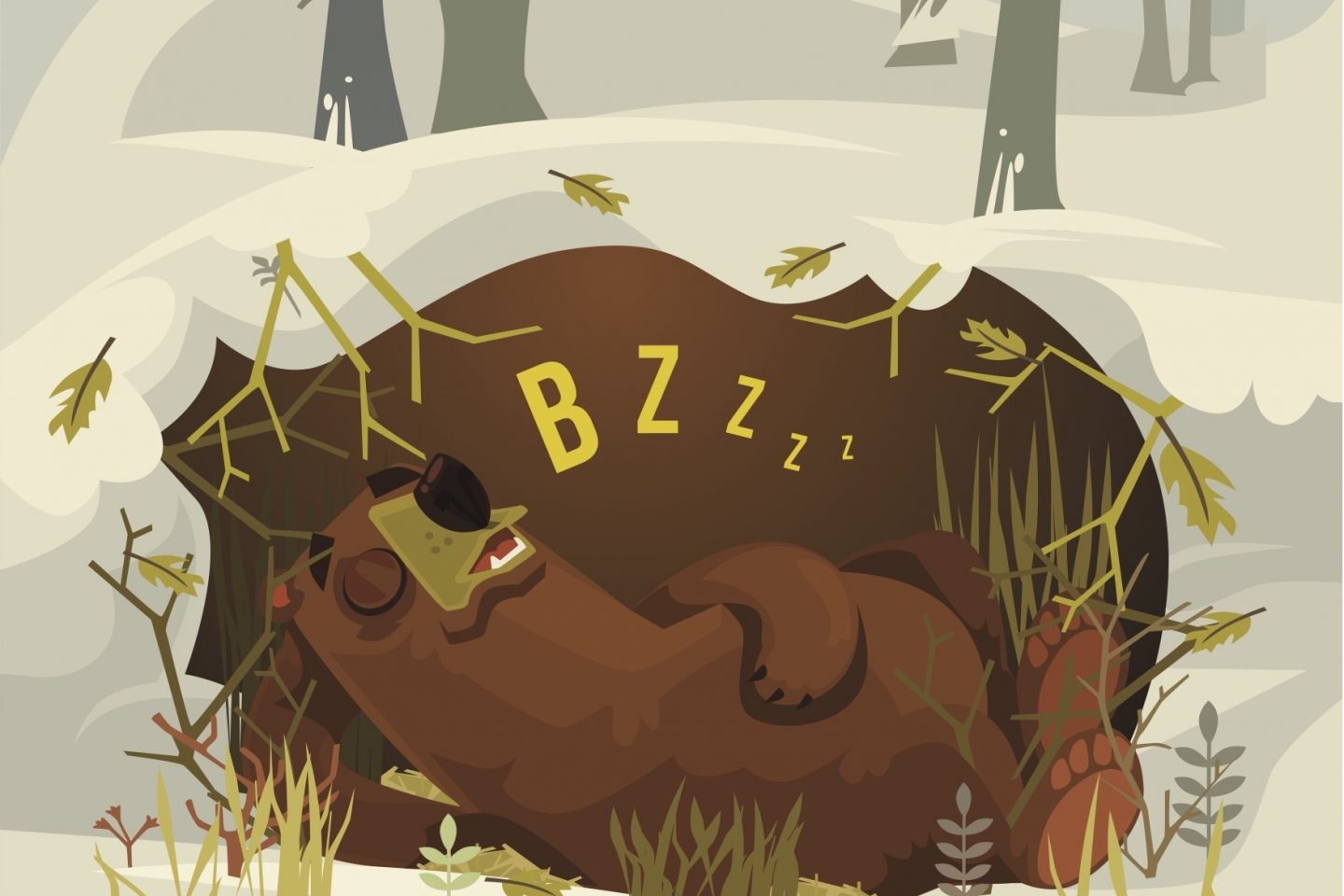 bearhibernate