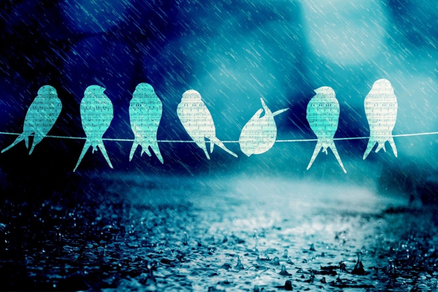 A rainy scene is overlapped with the outline of birds on a wire. The birds are made up of musical notes on a music sheet.
