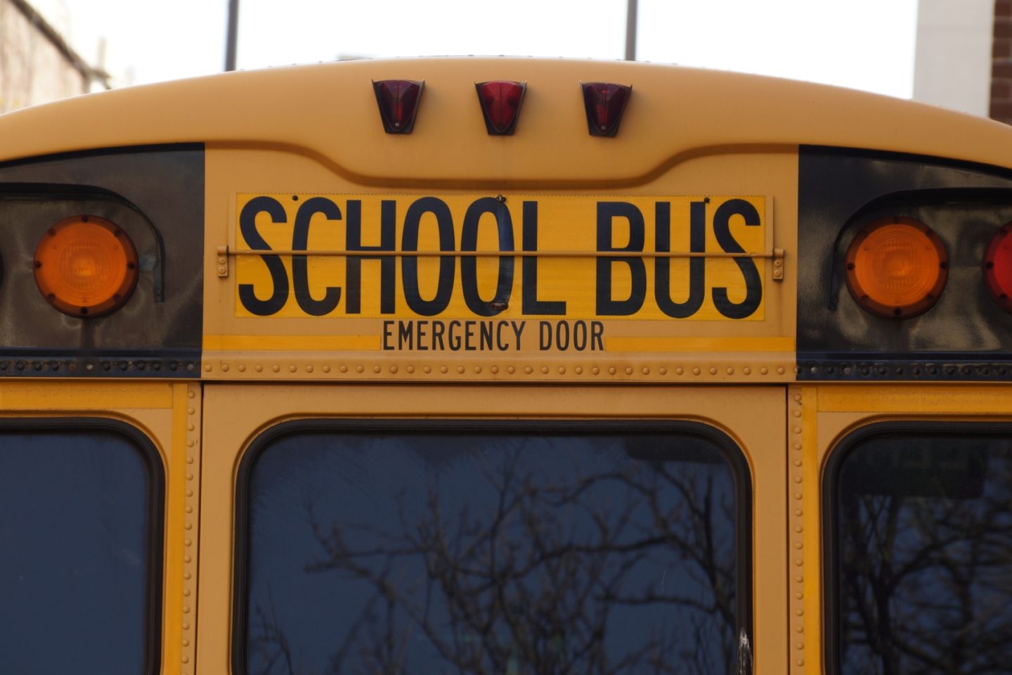 A close-up shot of the back of a School Buses Emergency Door.