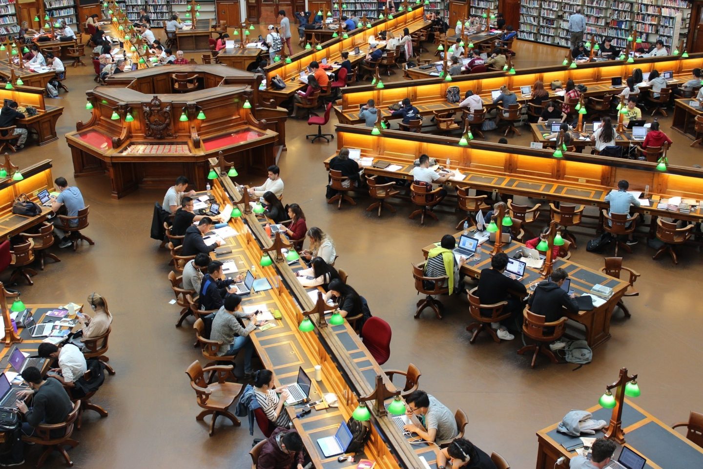 busy library people