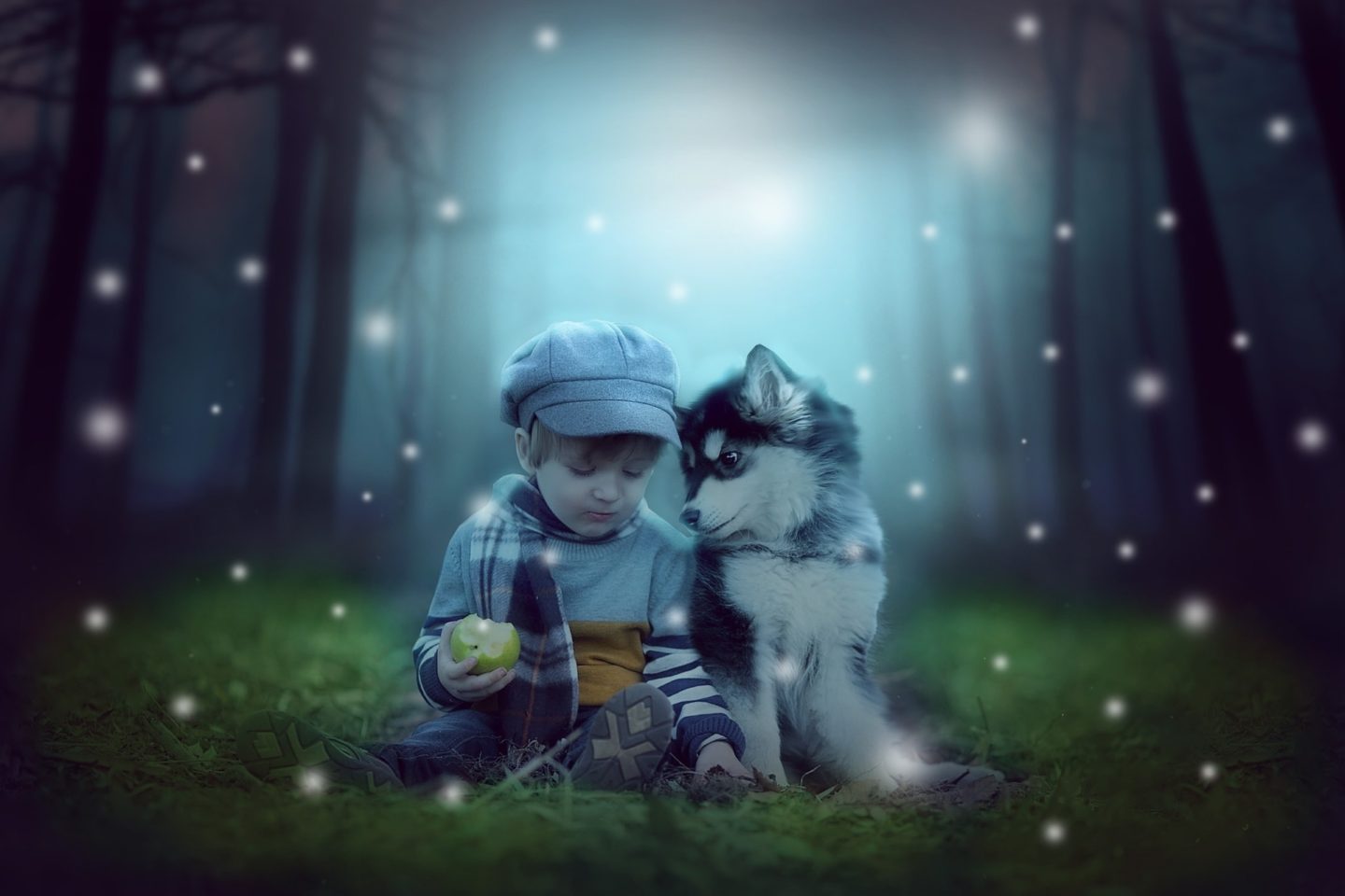 child puppy woods childrens books