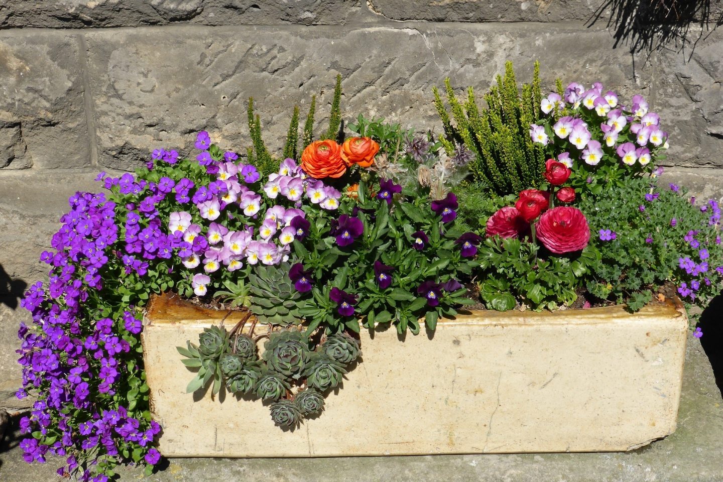 A container holds various flowers and succulents.