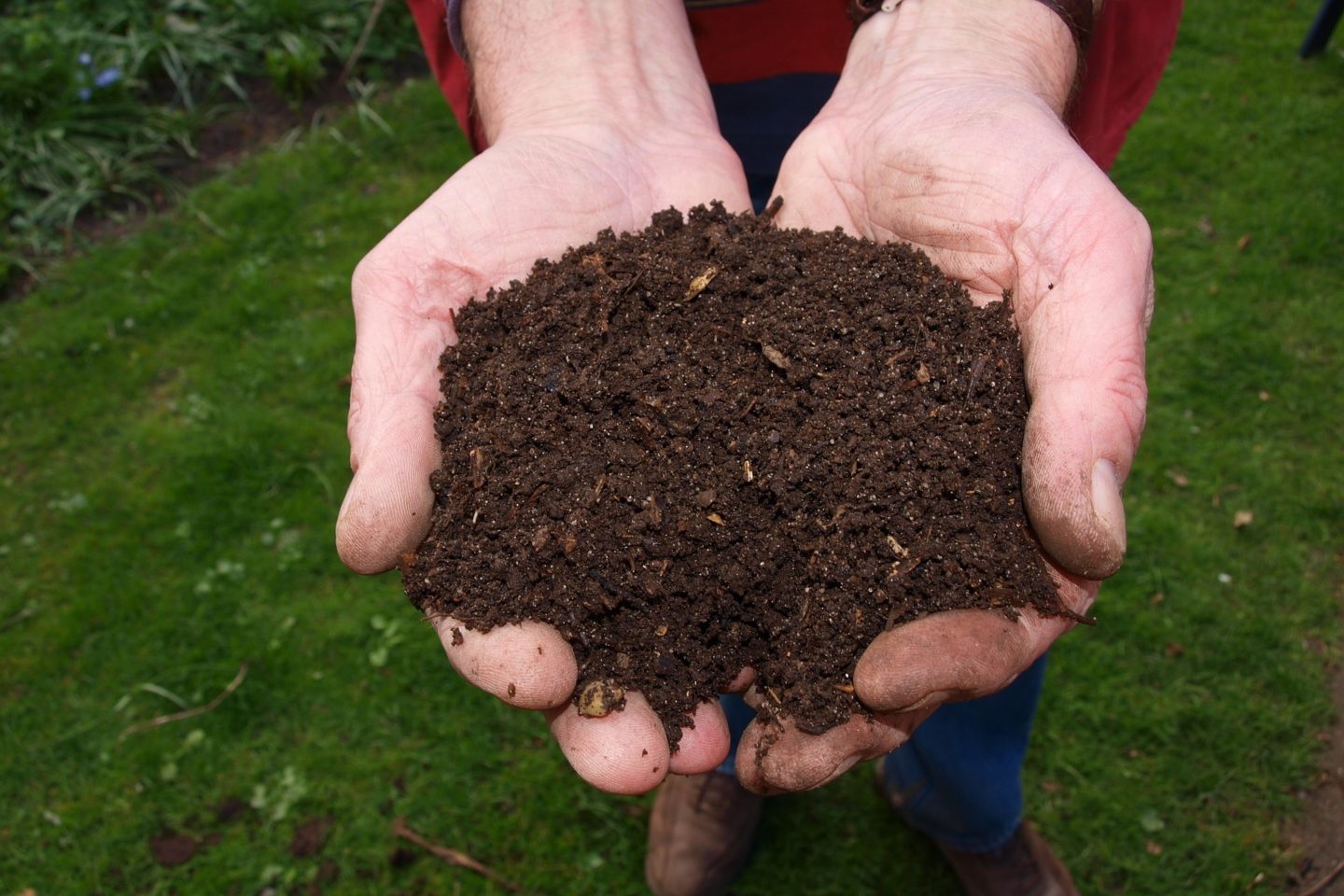 A close-up shot of an older man's hands holding up soil.