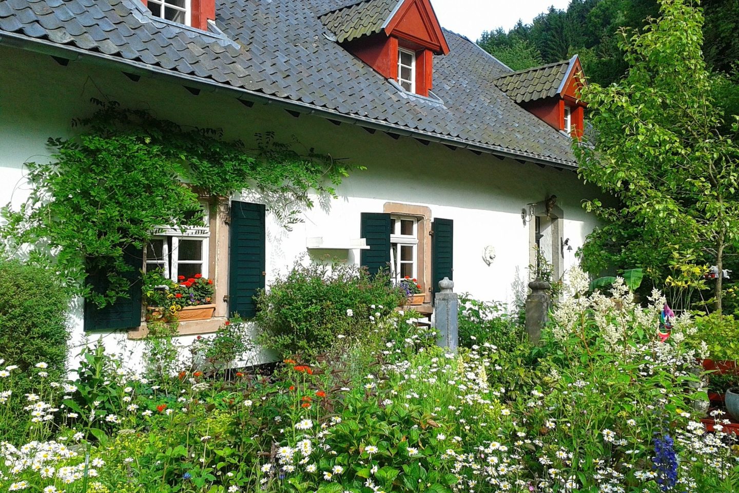 garden cozy cottage