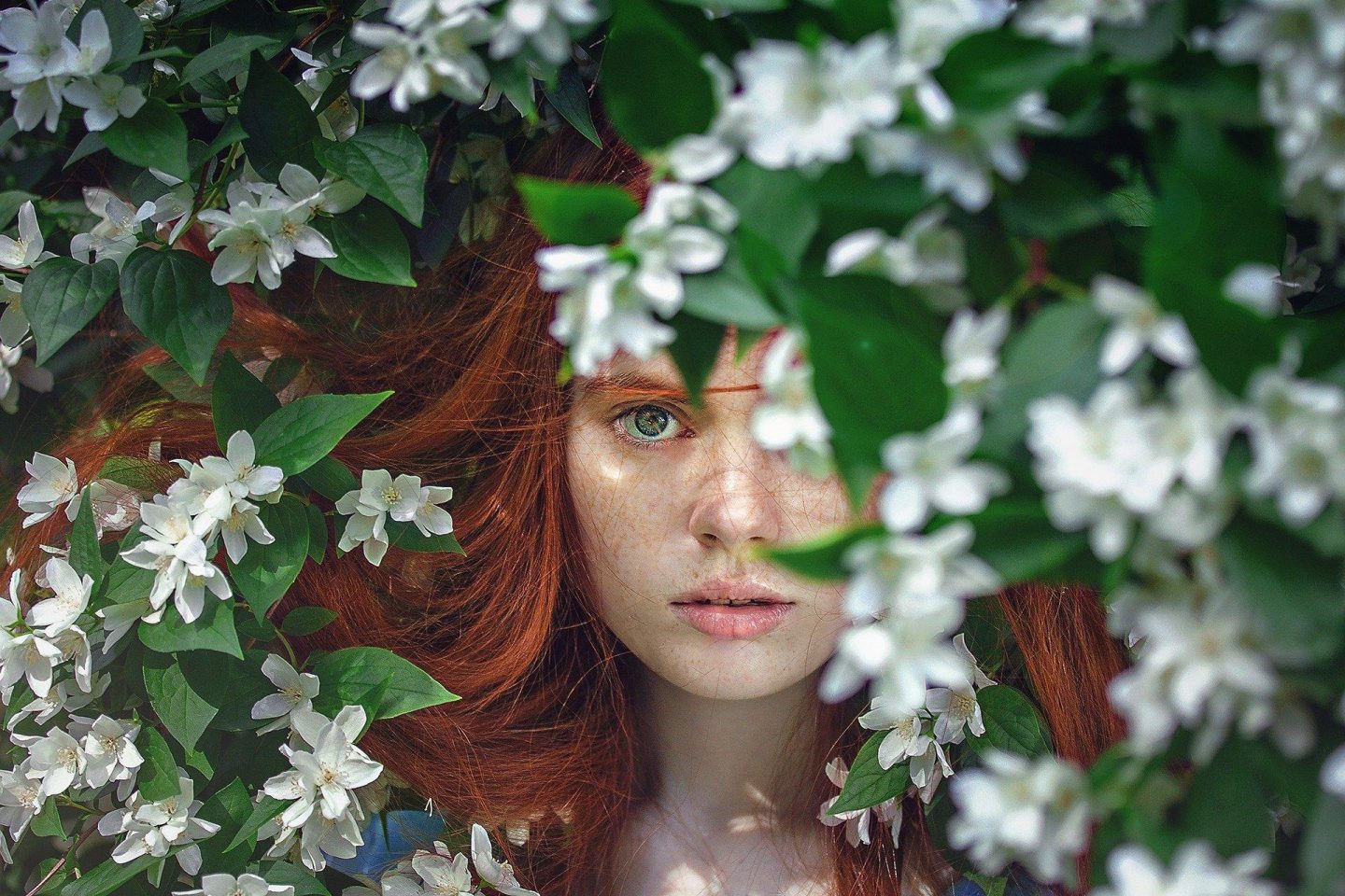 A girl peers out from behind a bush with white flowers as part of her face is hidden behind the plants.