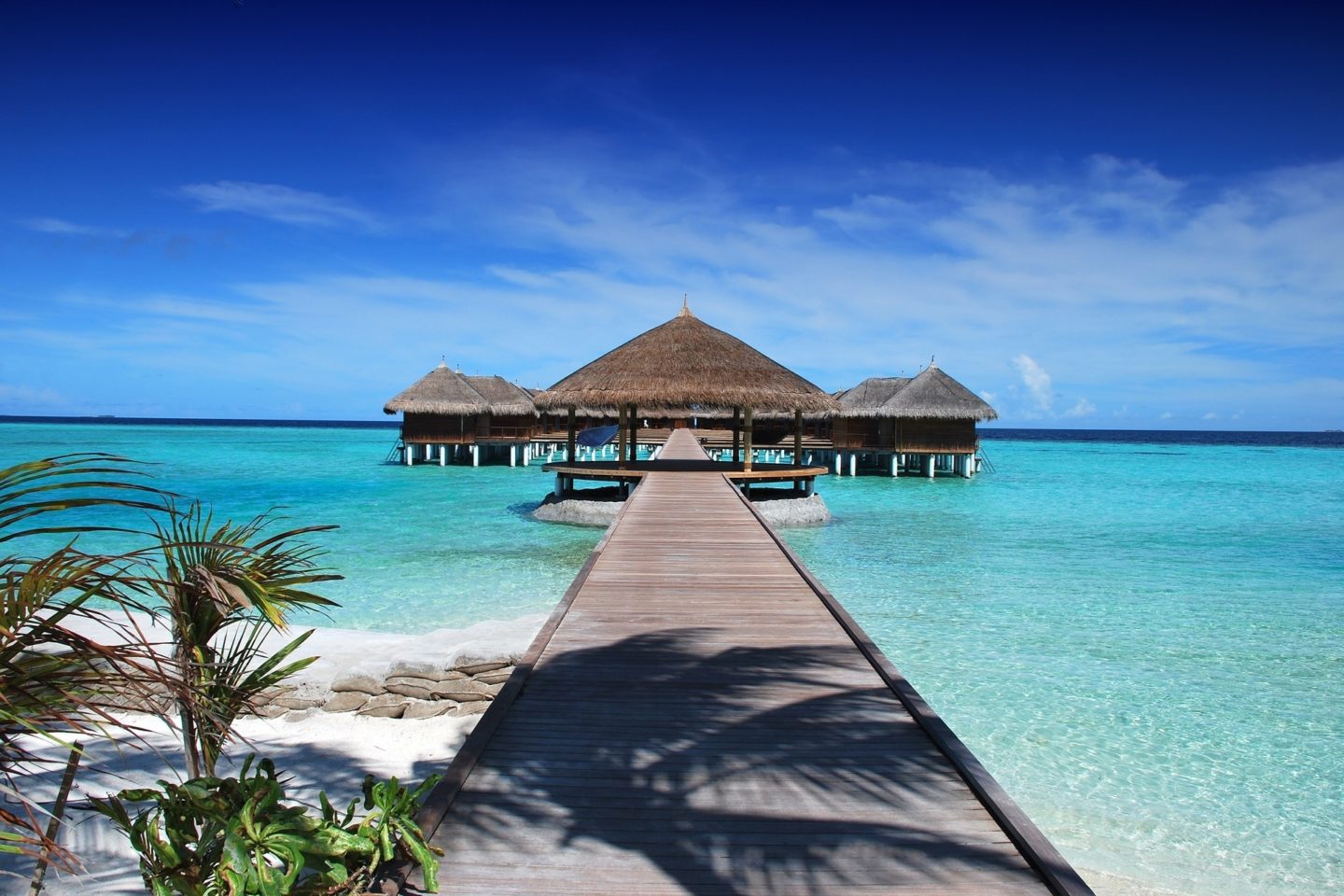 maldives summer beach reads