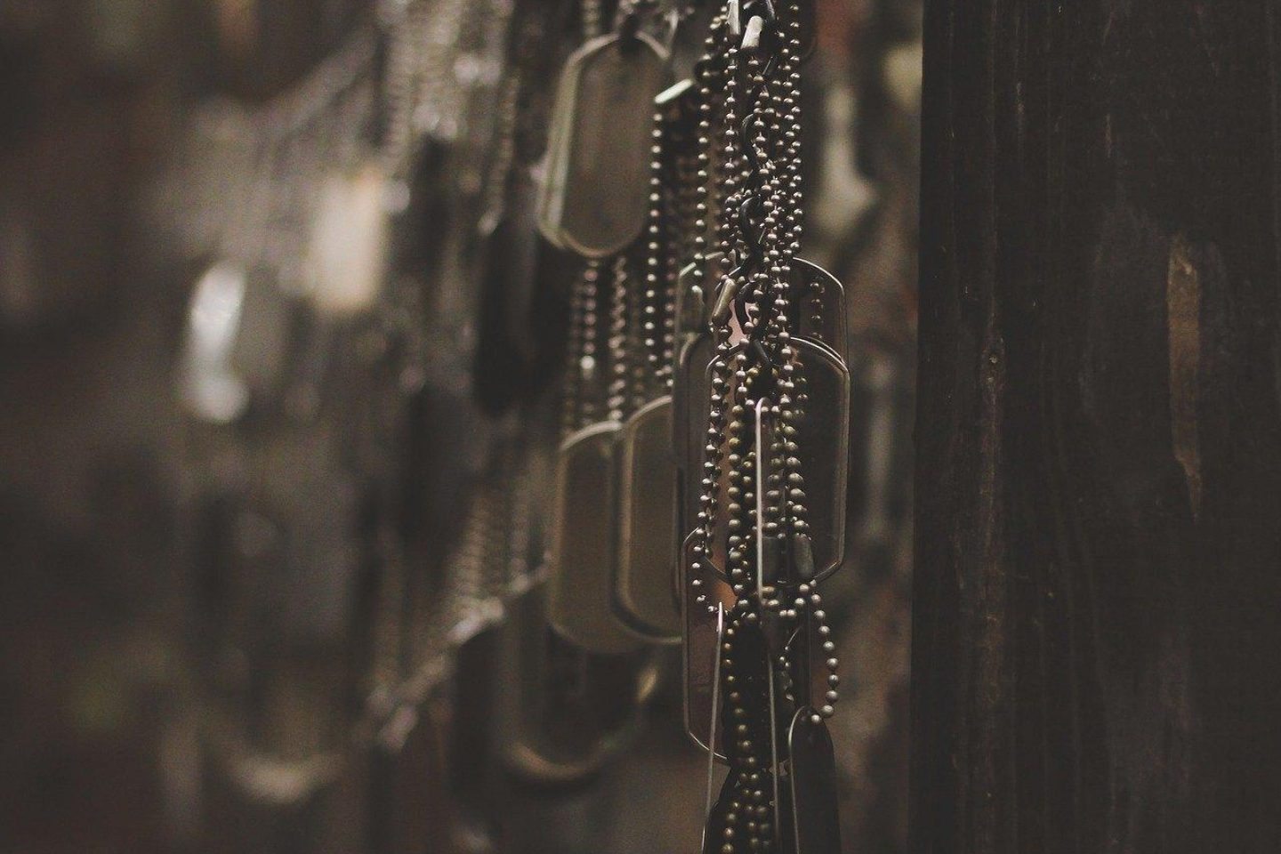 A group of military tags hang off a wall.