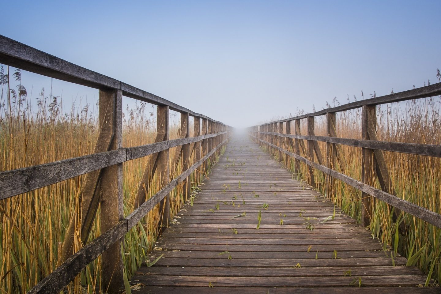 spring lake wetlands