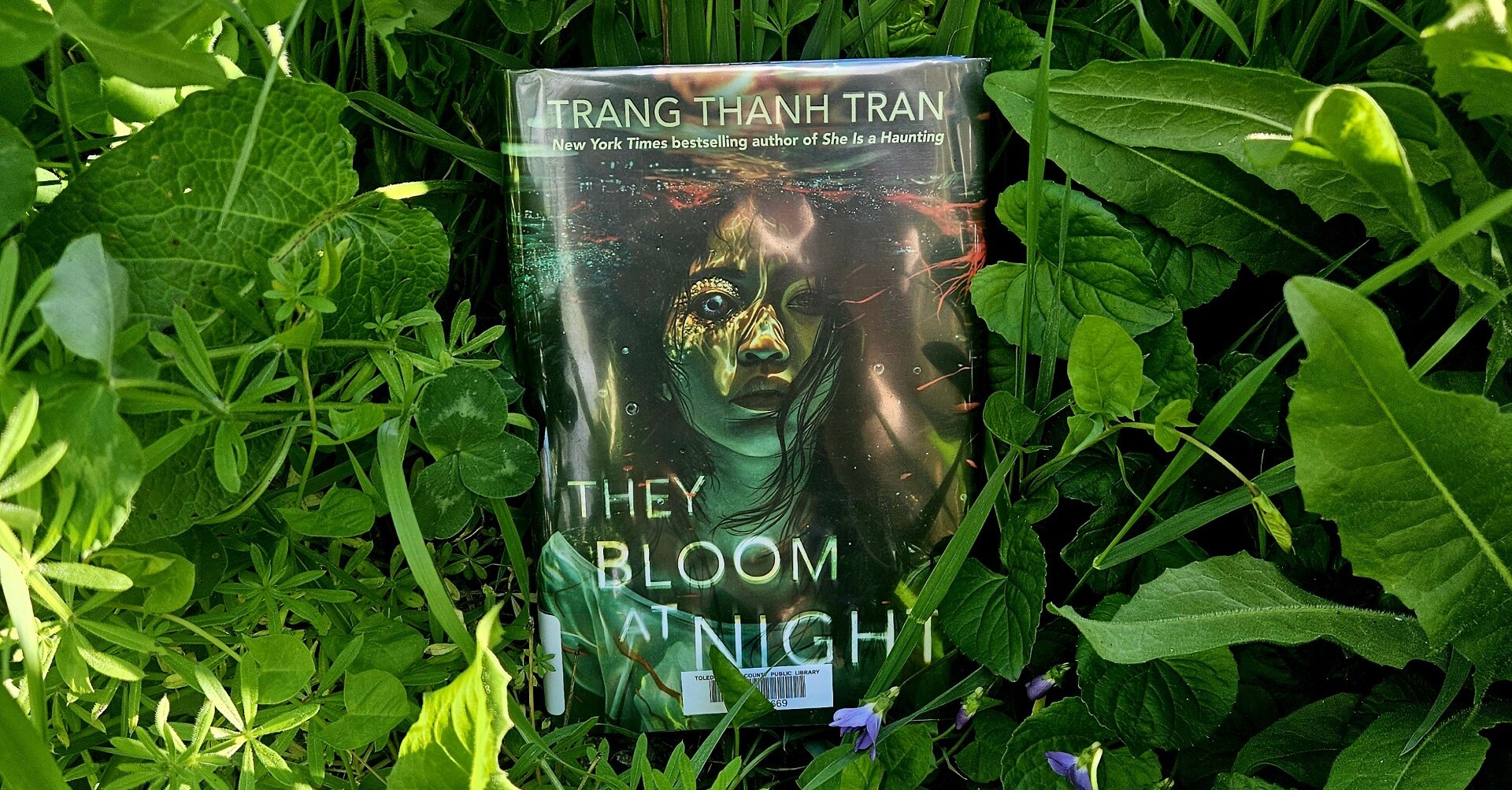 "They Bloom at Night" by Trang Thanh Tran
