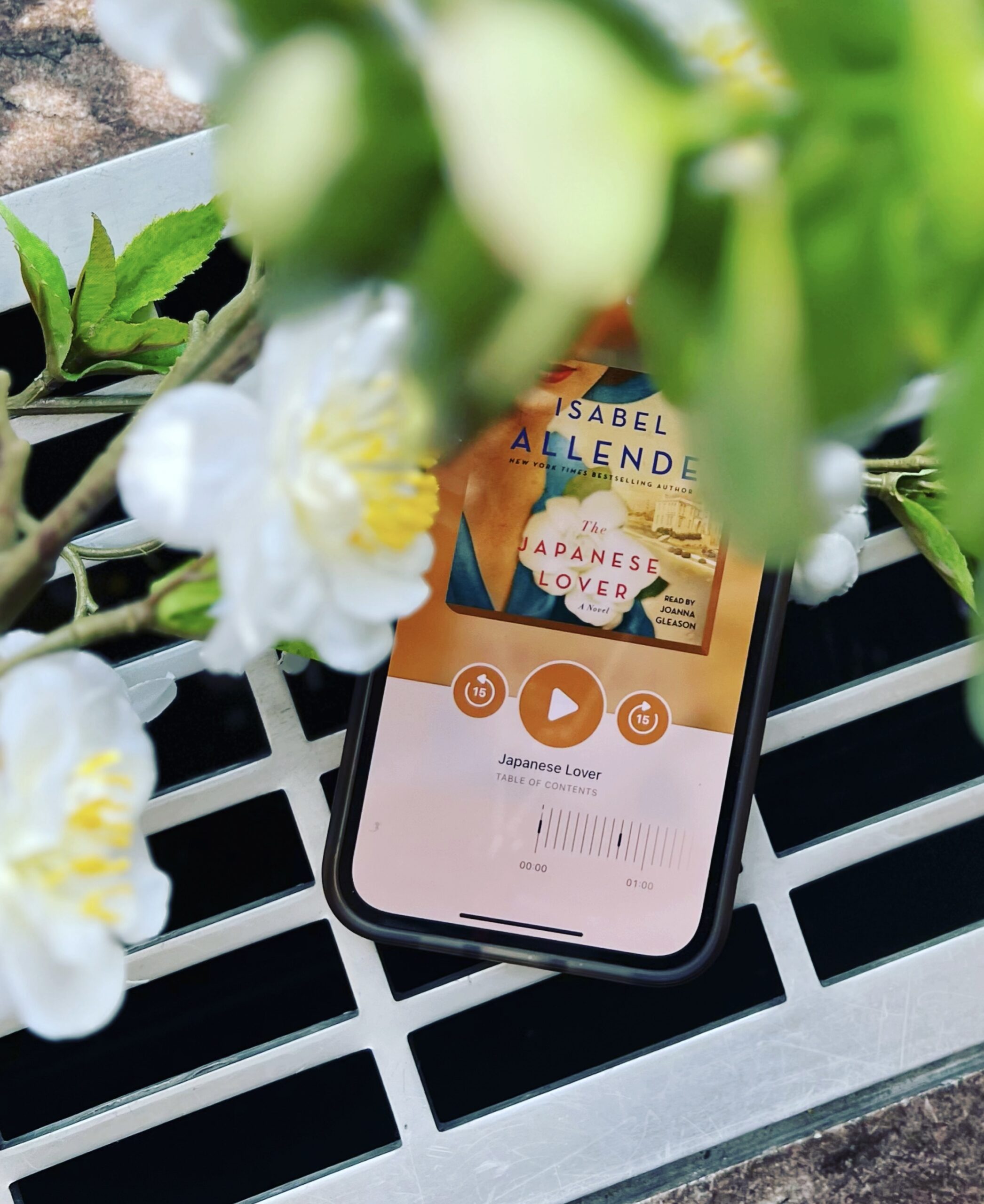 Allenda audiobook