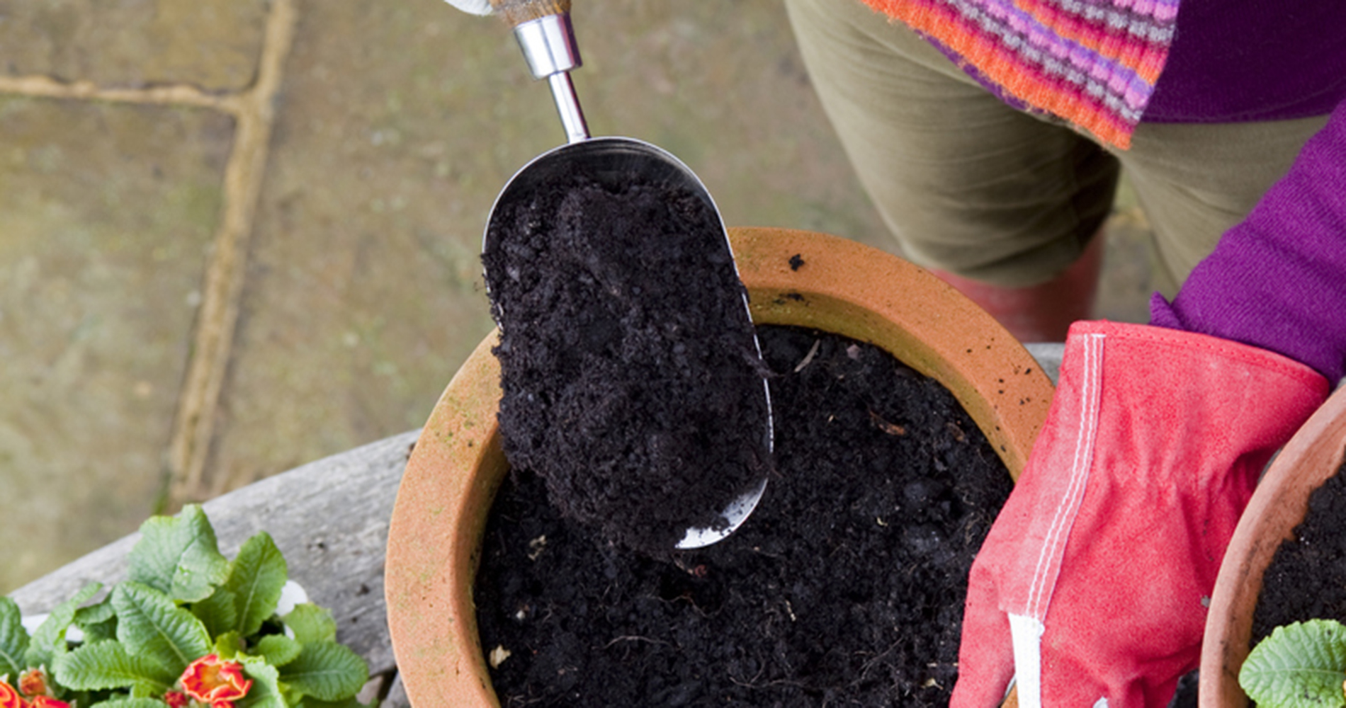 Youth climbing indoor rock wall.
