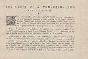 Story of a Wonderful Dog 03 scaled