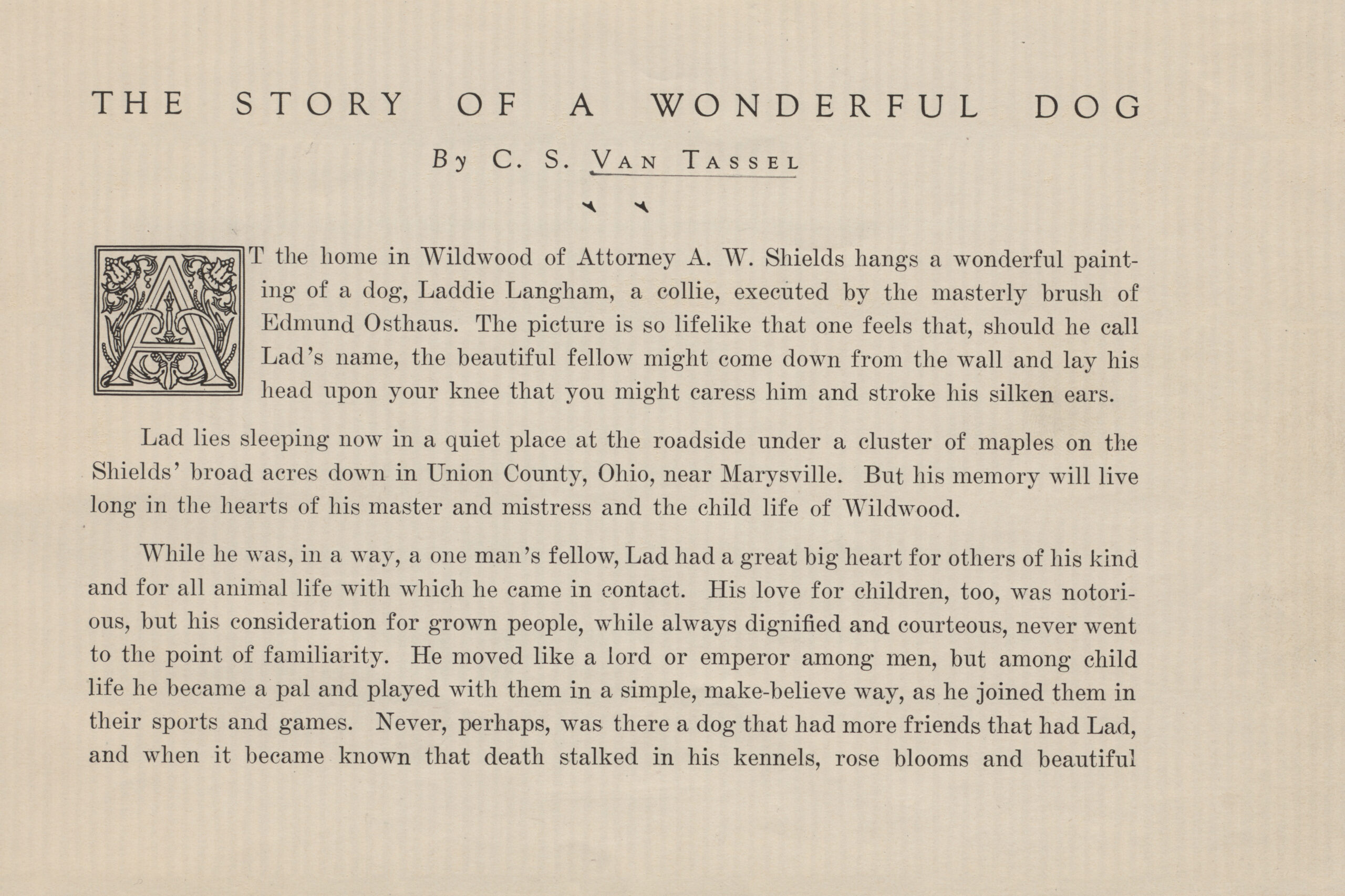 Story of a Wonderful Dog 03 scaled