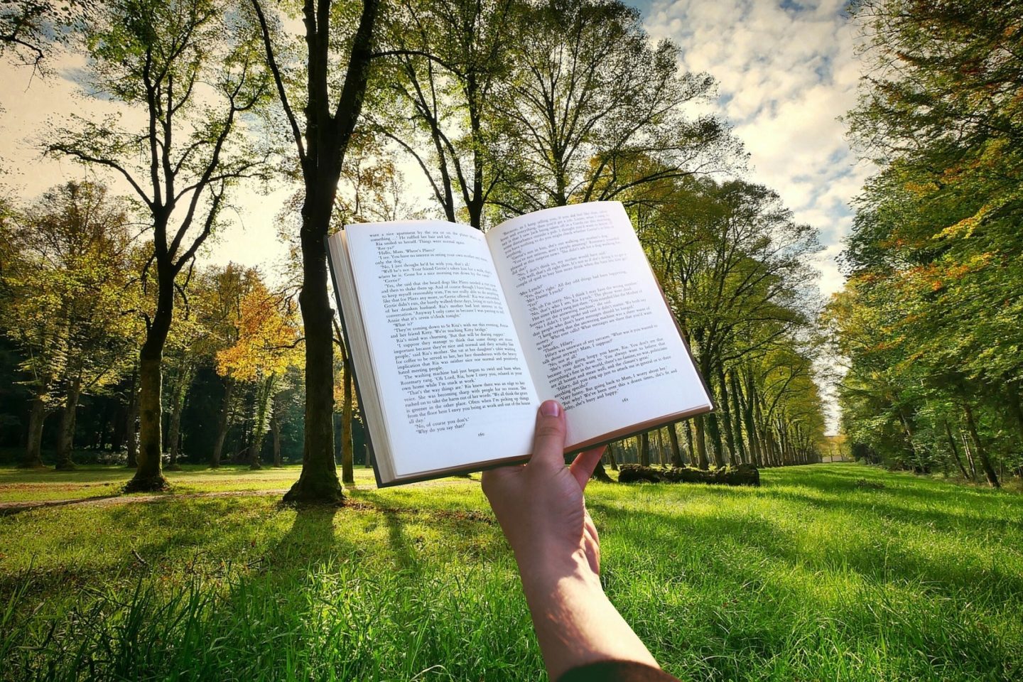 book outdoors