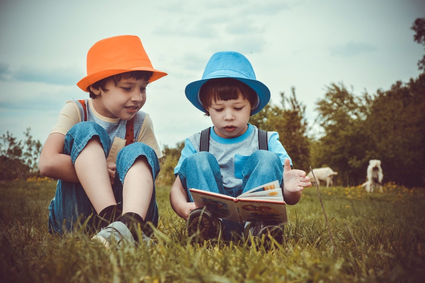 boys reading books