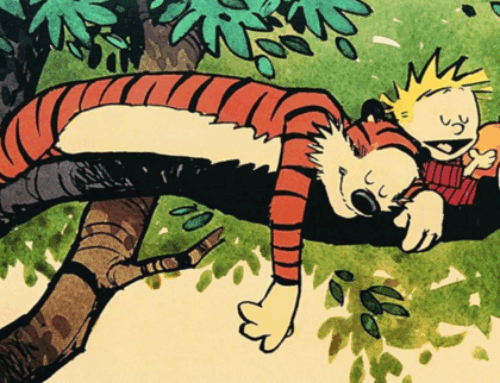 10 Essential Calvin and Hobbes Books for Its 40th Anniversary