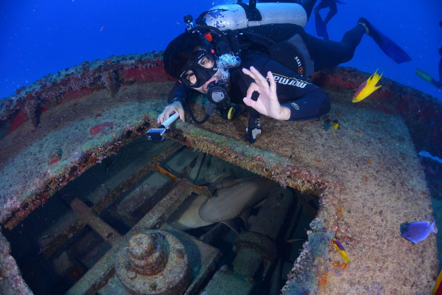 diver shipwreck