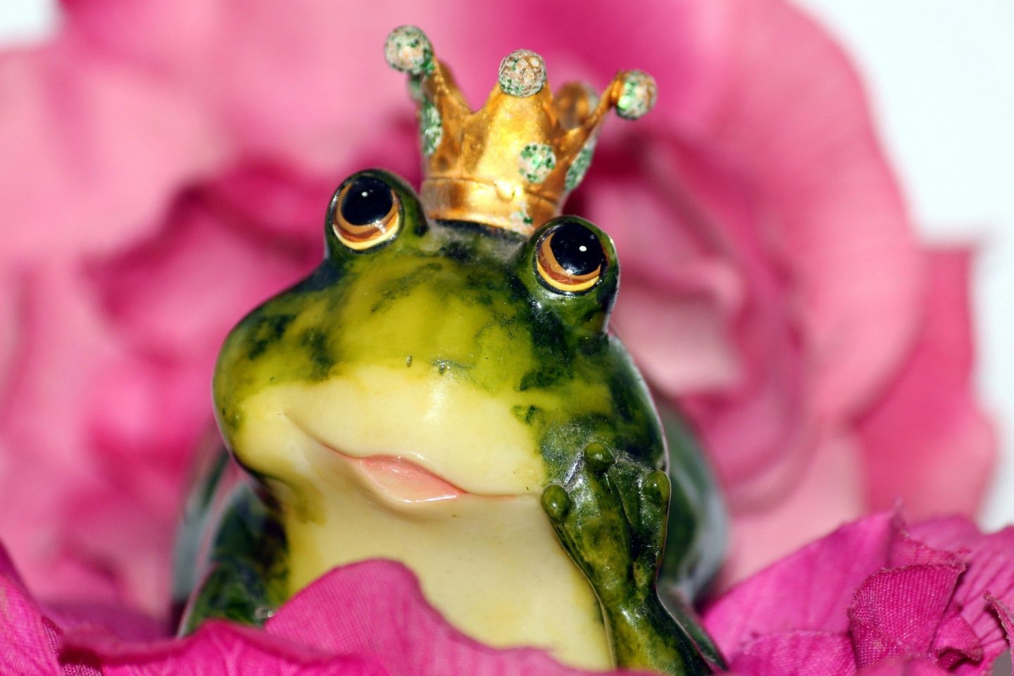 frog prince 1370022 1920