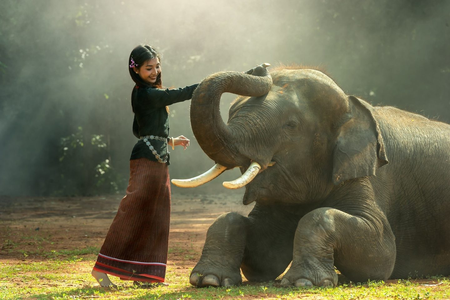 girl elephant friends