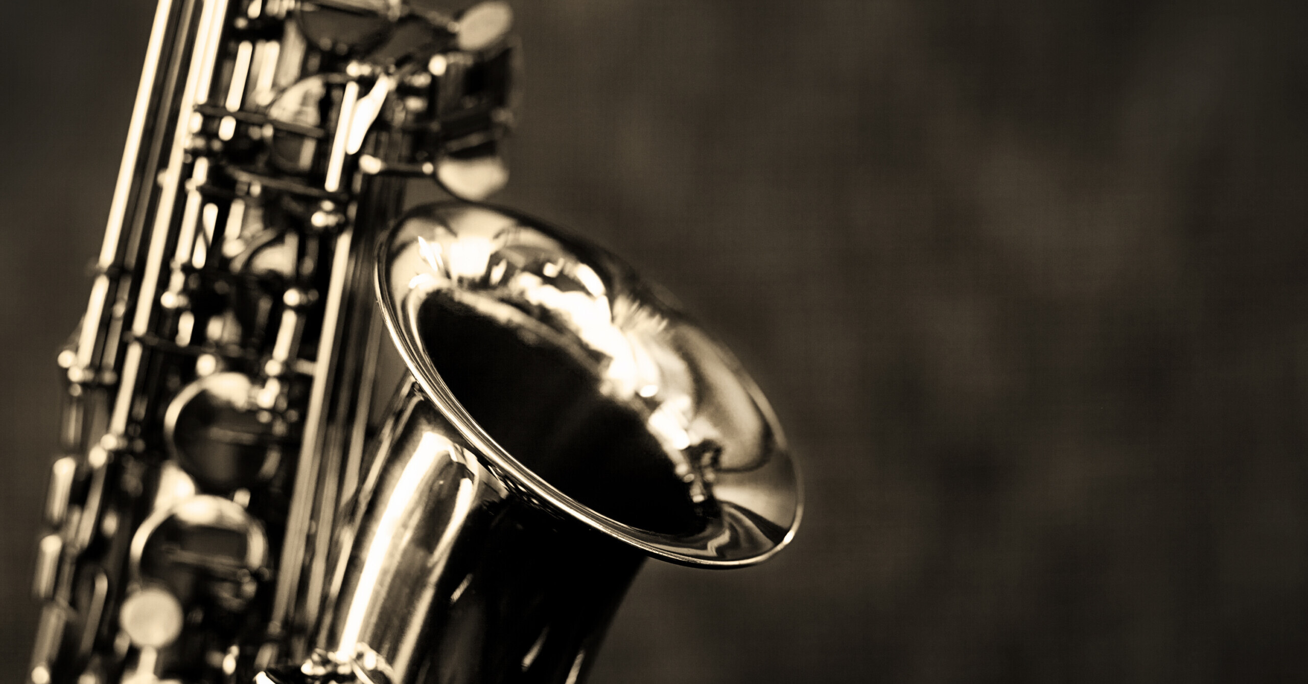 Alto saxophone.