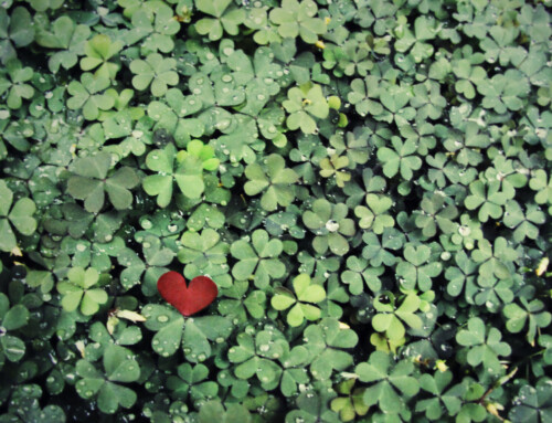 Romantic Reads for St. Patrick’s Day
