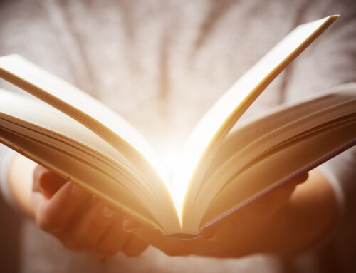 Beyond Bedtime: Picture Books That Speak to Adults