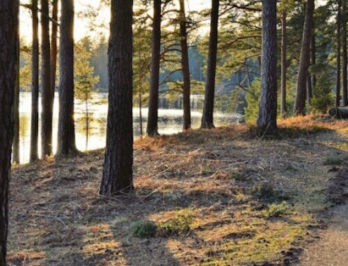 20 Books to Inspire You to Get Outside More Often