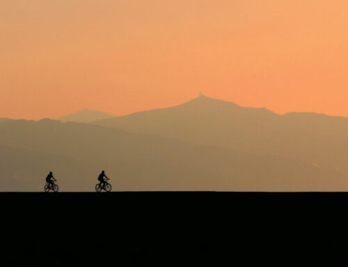 5 Books to Remind You to Stop Reading and Go Ride a Bike