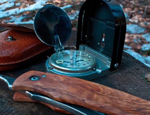 10 Survival Guides You Didn’t Know You Needed