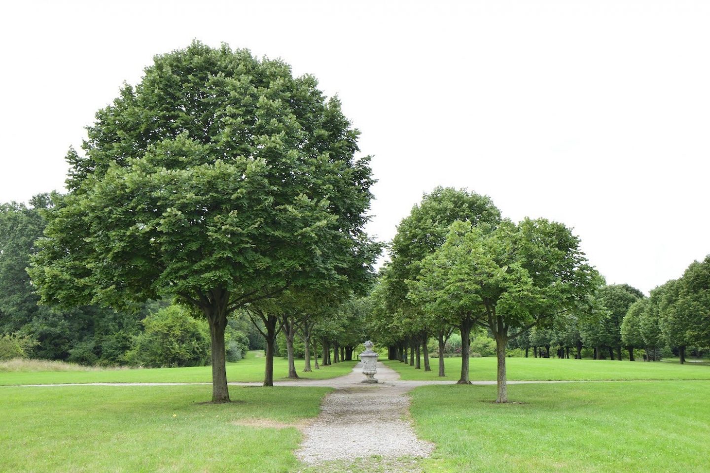 toledo botanical gardens